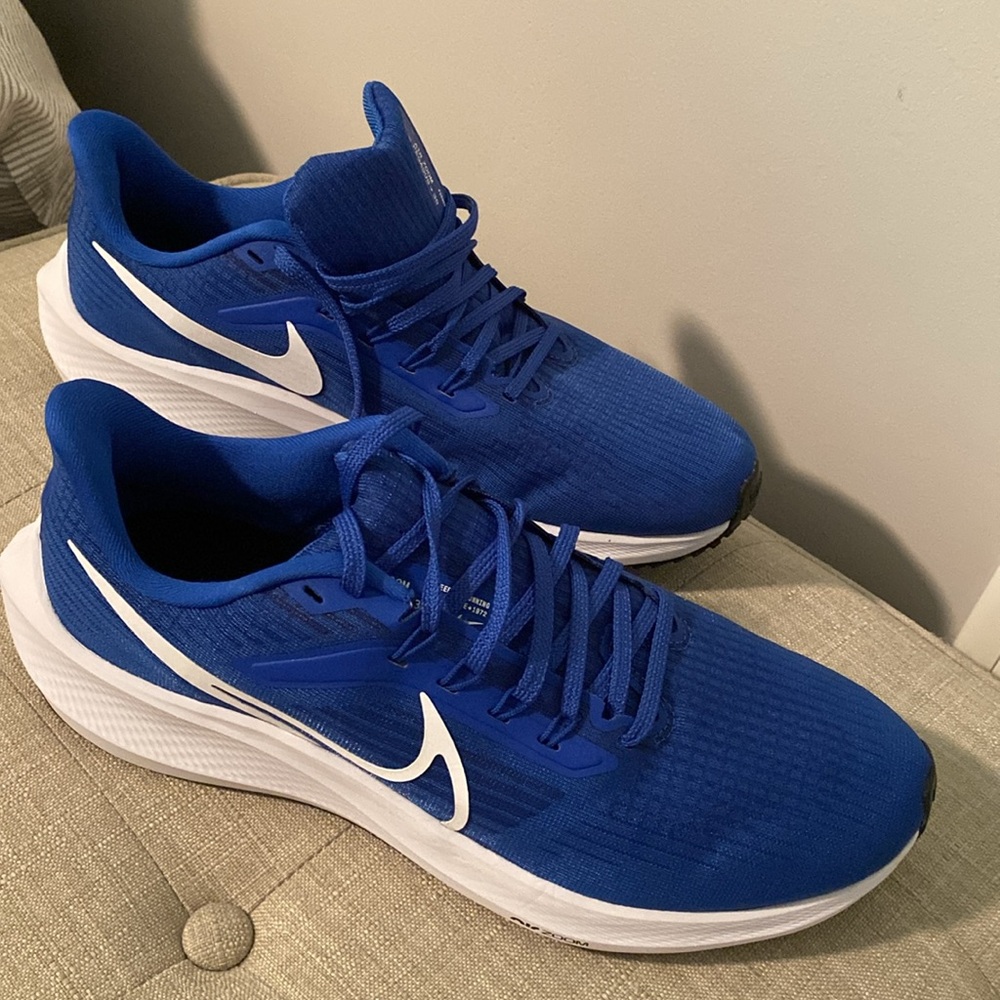 Women’s Nike Air Zoom Pegasus 39